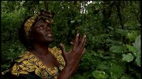 Wangari Maathai In Aberdare Indigenous Forest